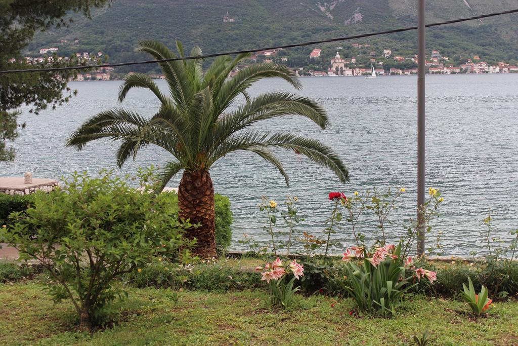 Apartments Miramar Kotor Exterior photo