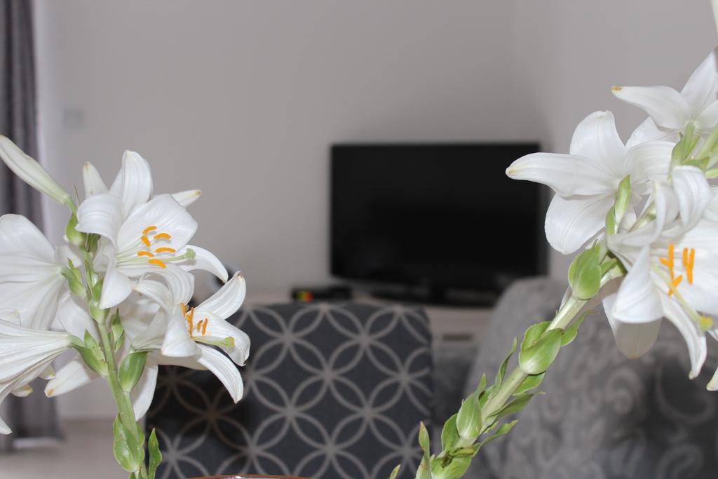 Apartments Miramar Kotor Room photo